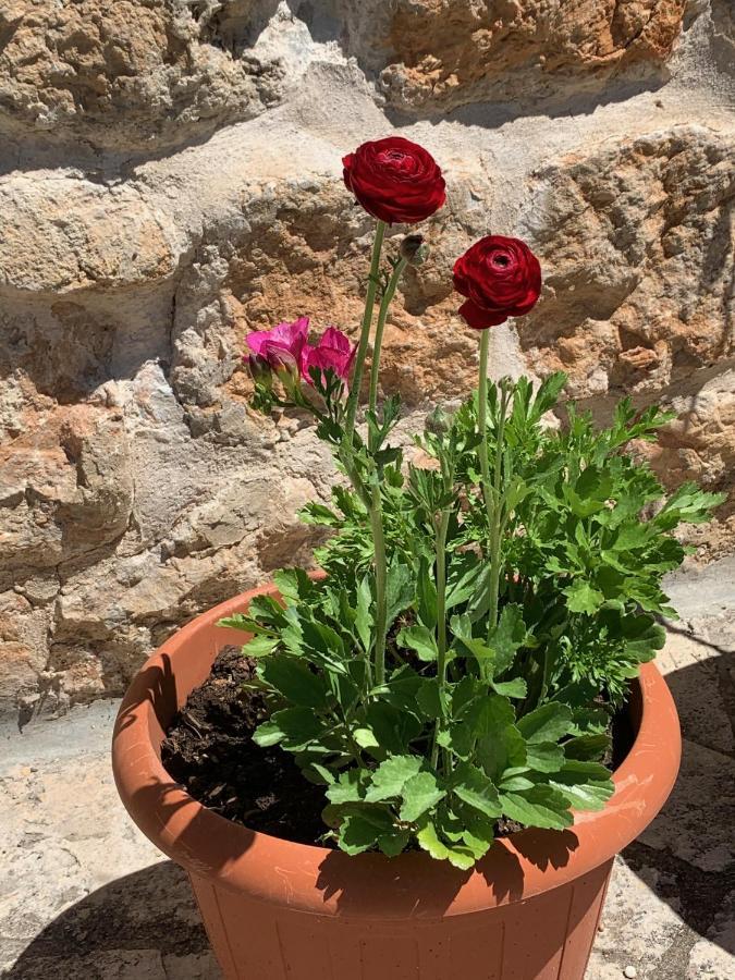 guesthouse Libertas 1 Dubrovnik Eksteriør billede